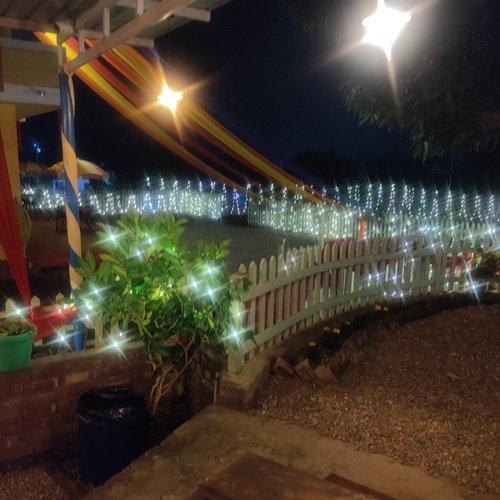 Golden Cypress Event